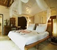 Paradise Resort - Guest Room